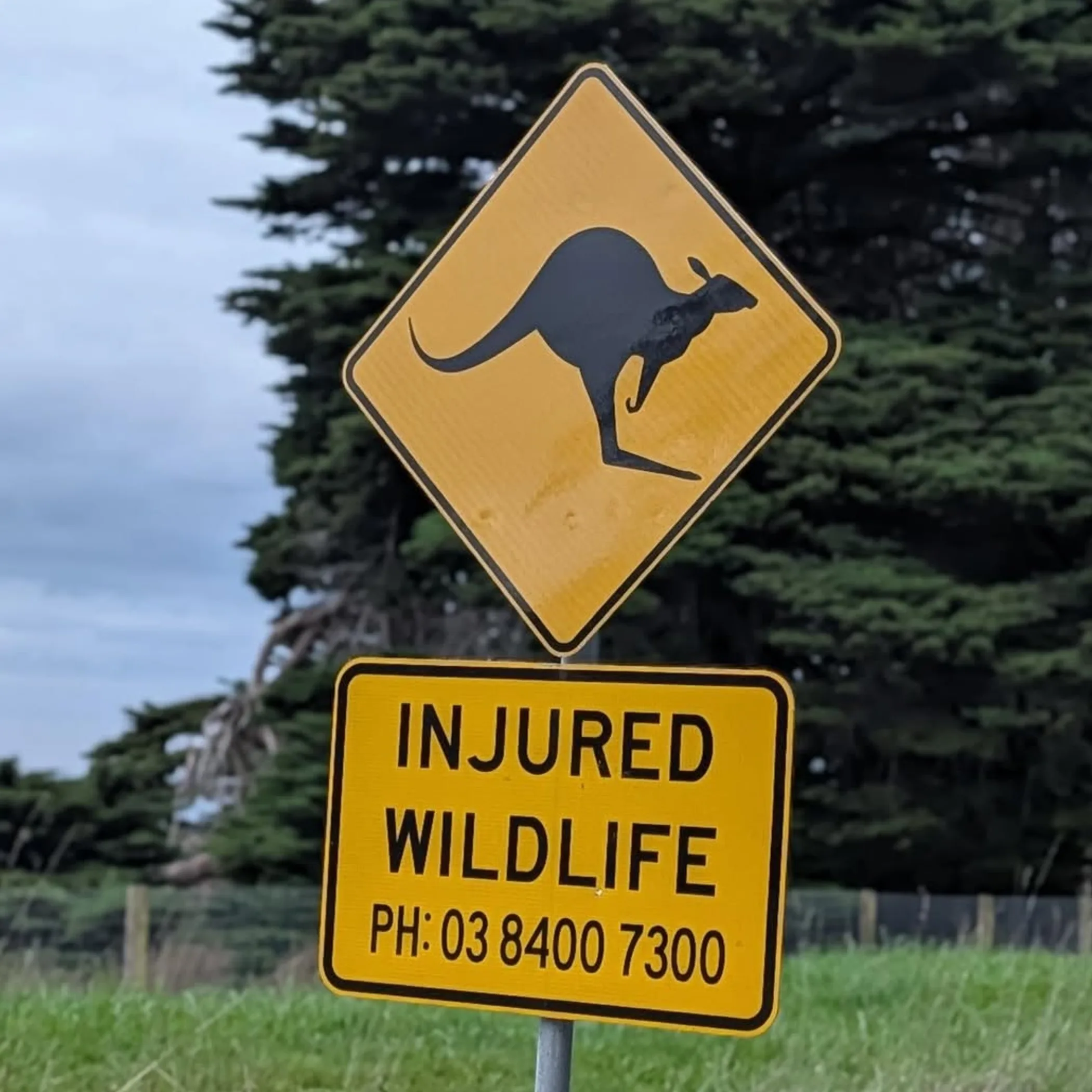 wildlife warning road safety sign