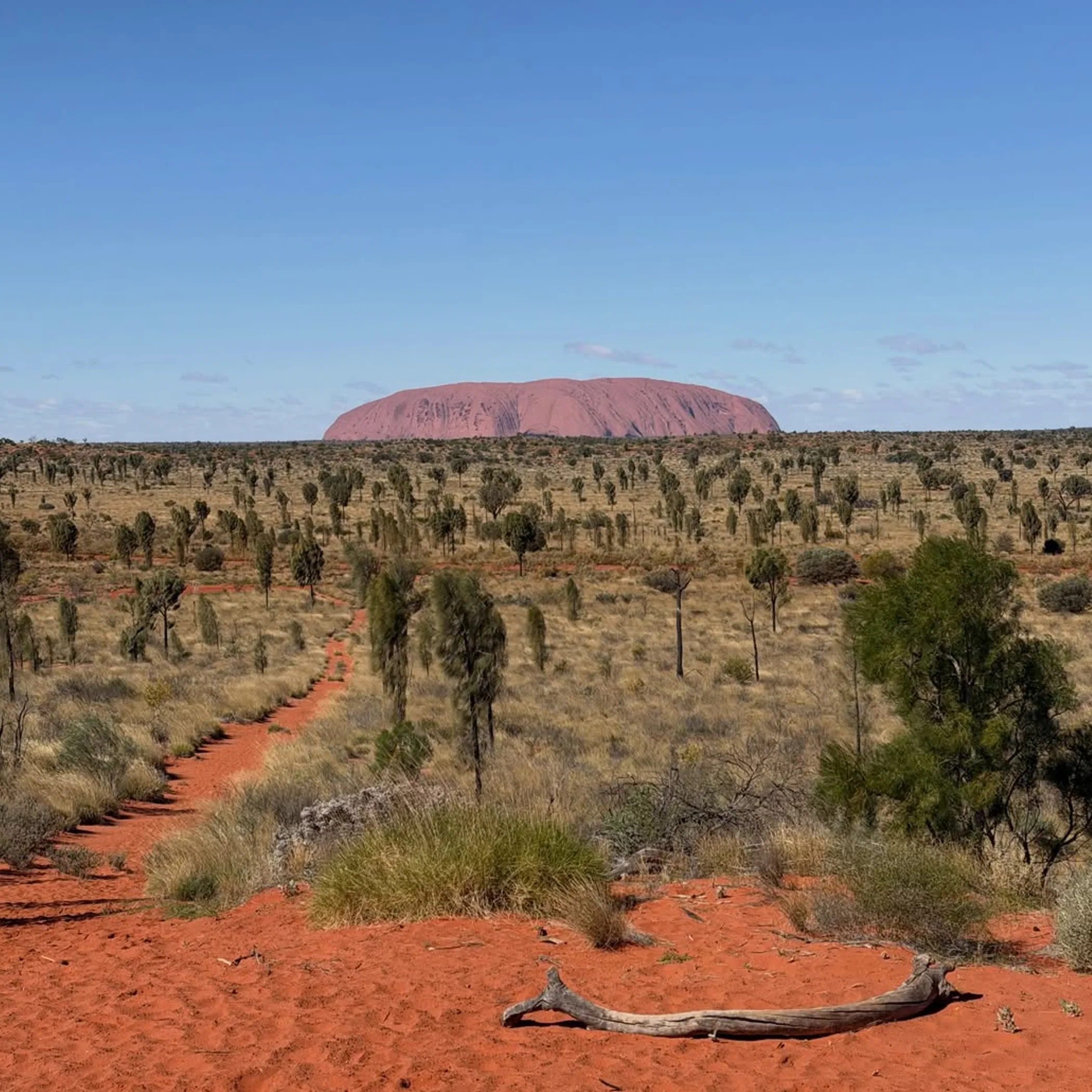 uluru national park dry heat landscape