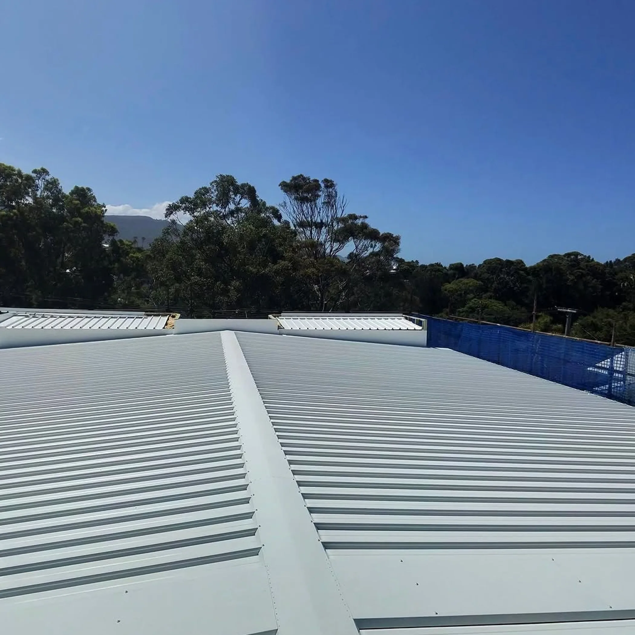 well-maintained australian roof