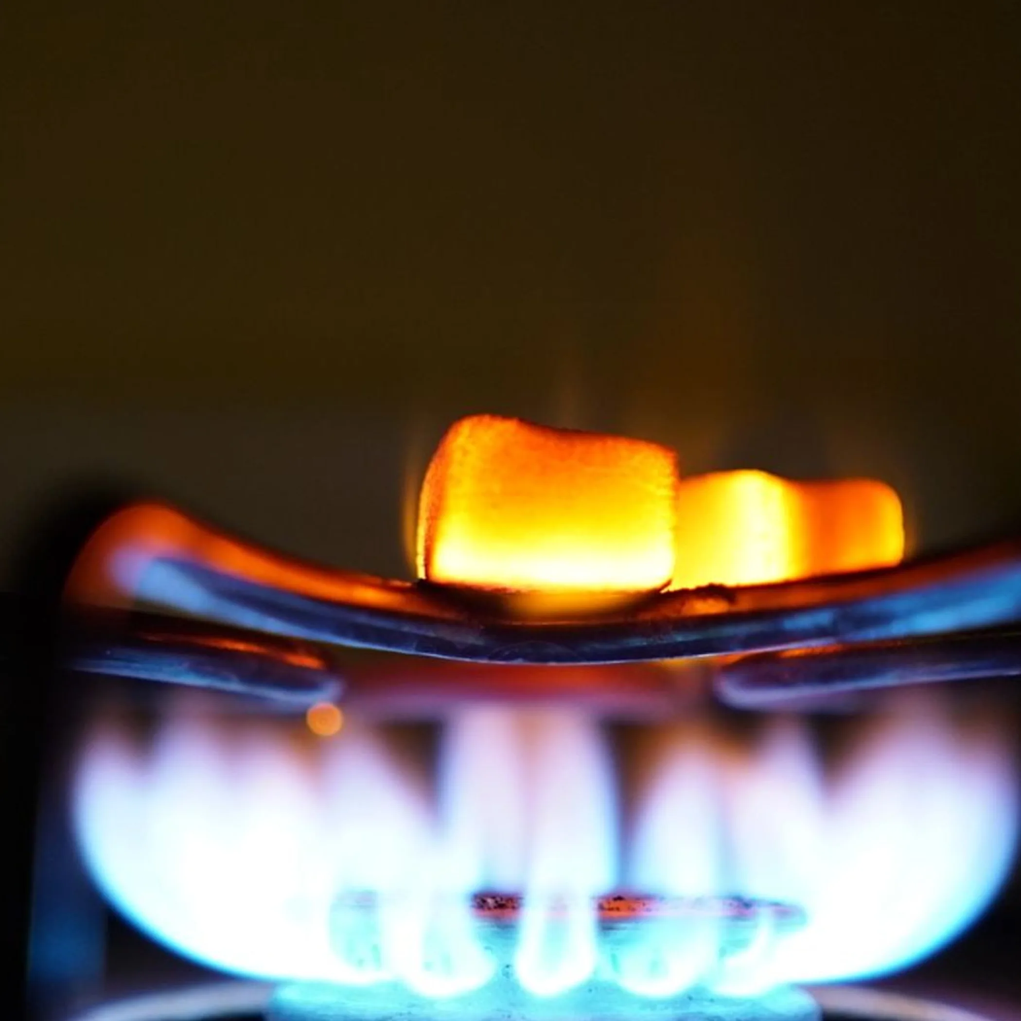 gas appliance component