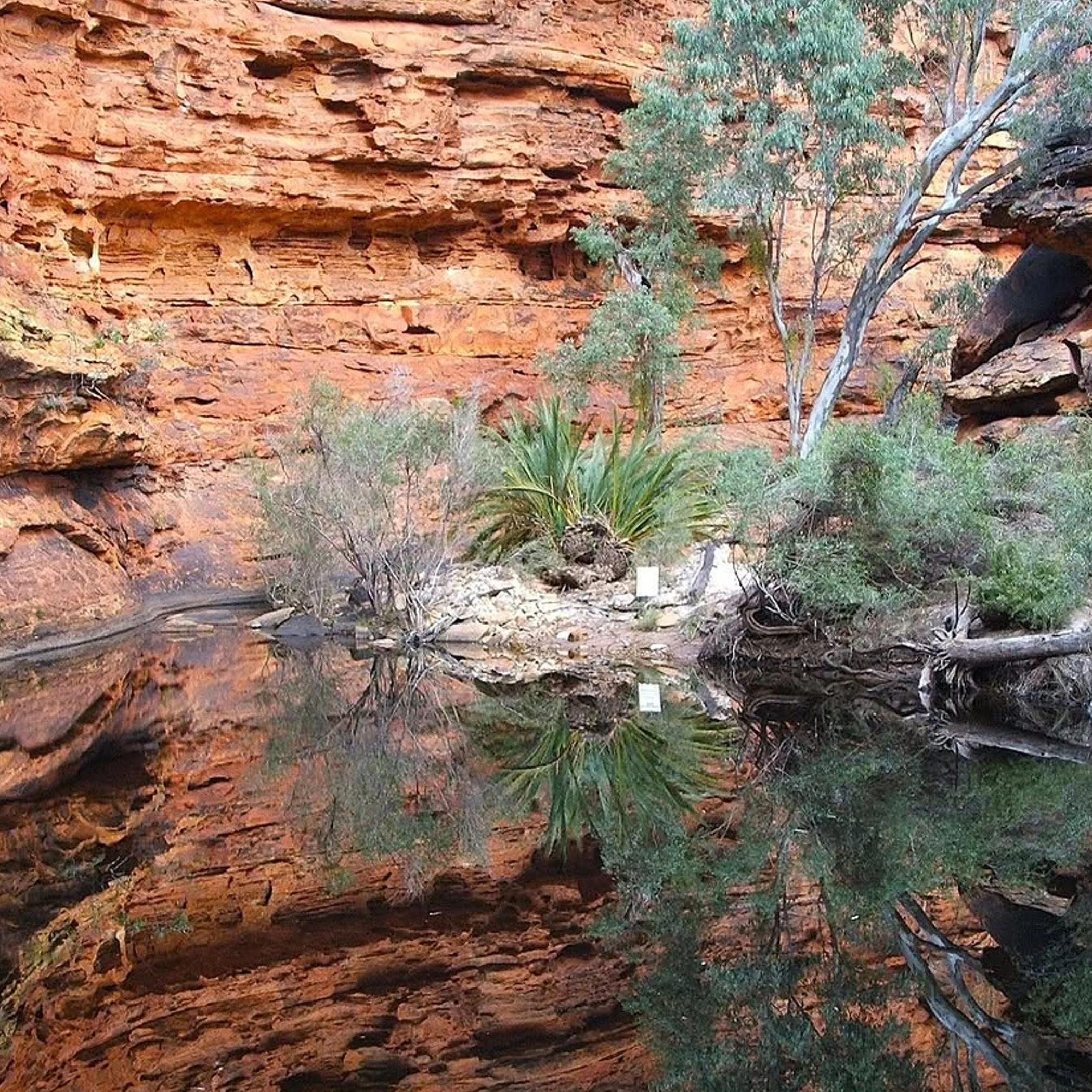 kings canyon outback desert scene