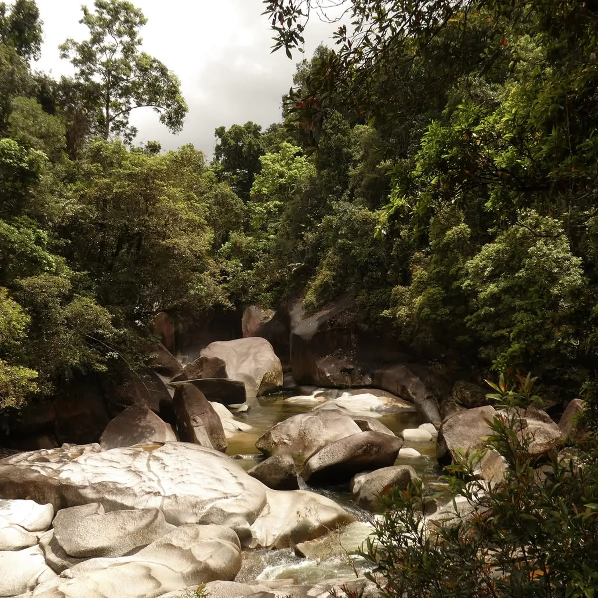 tropical gorge river swimming holes