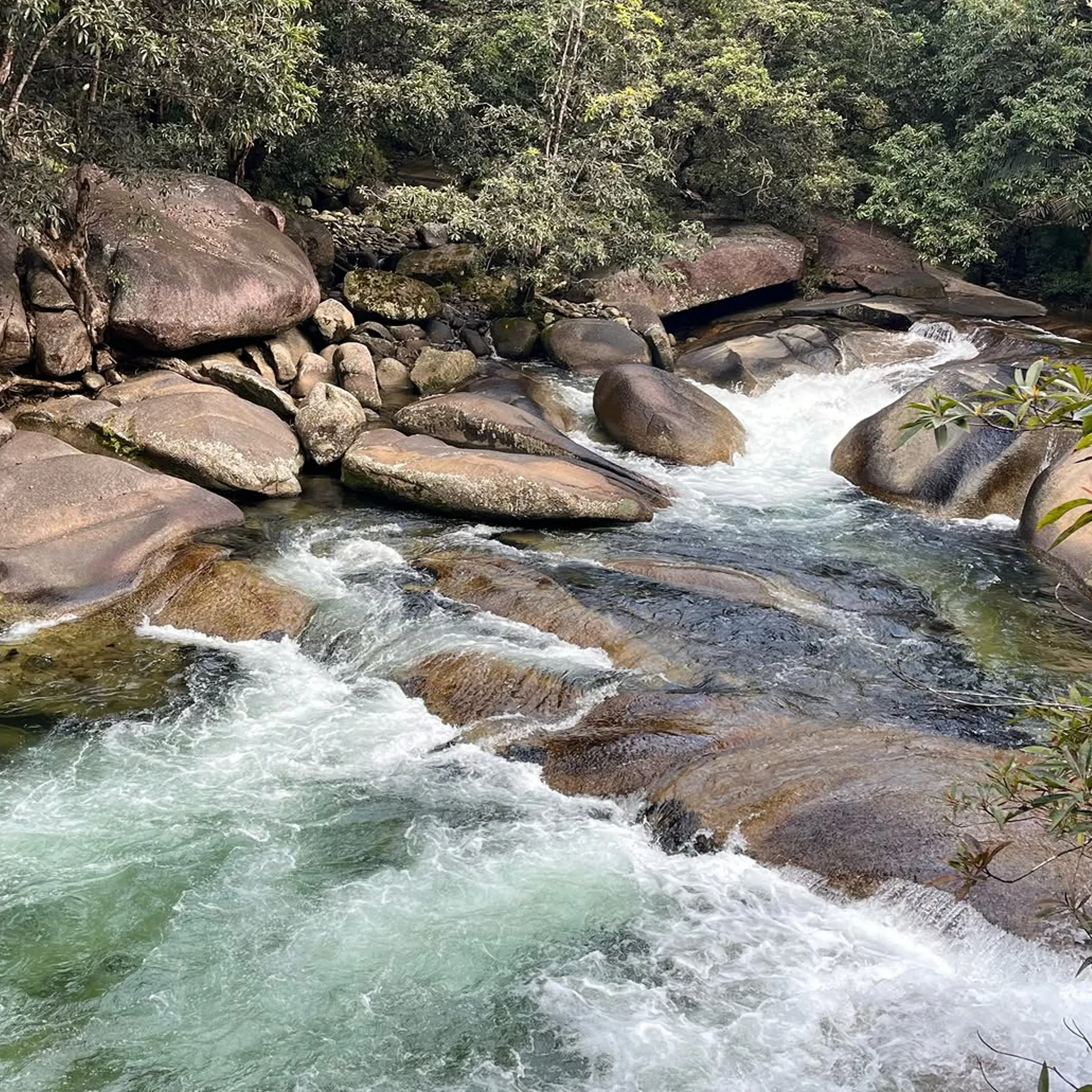 tropical freshwater rapids among granite boulders