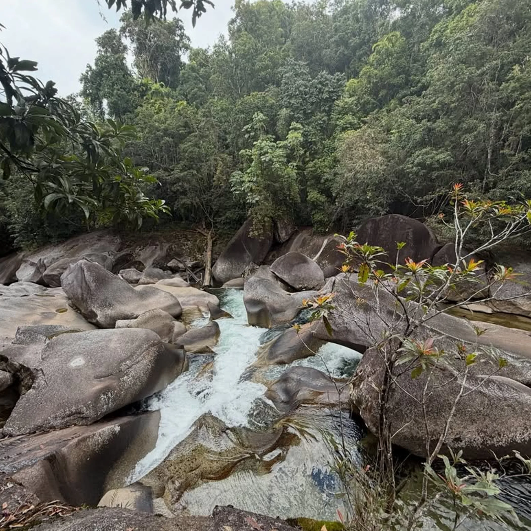 tropical gorge swimming holes