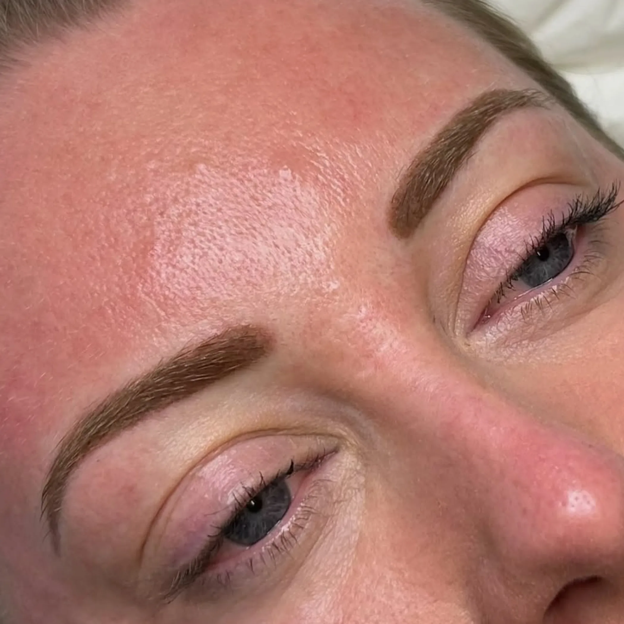 clearly shown powder brows