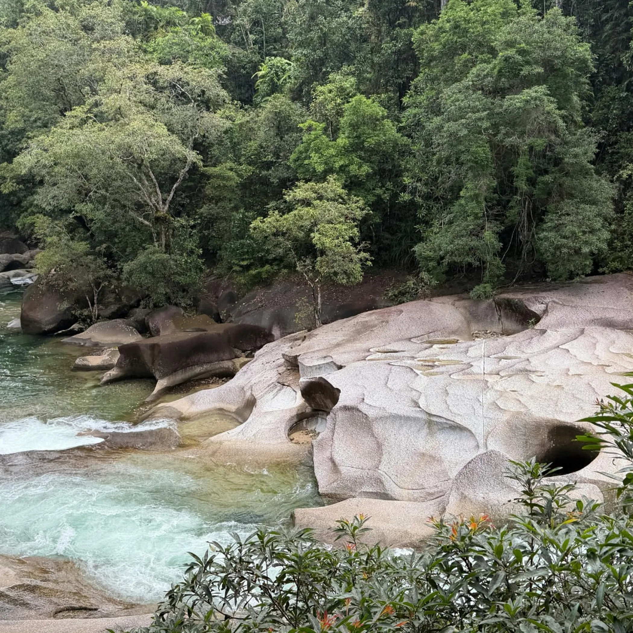 tropical rainforest swimming pools granite boulders