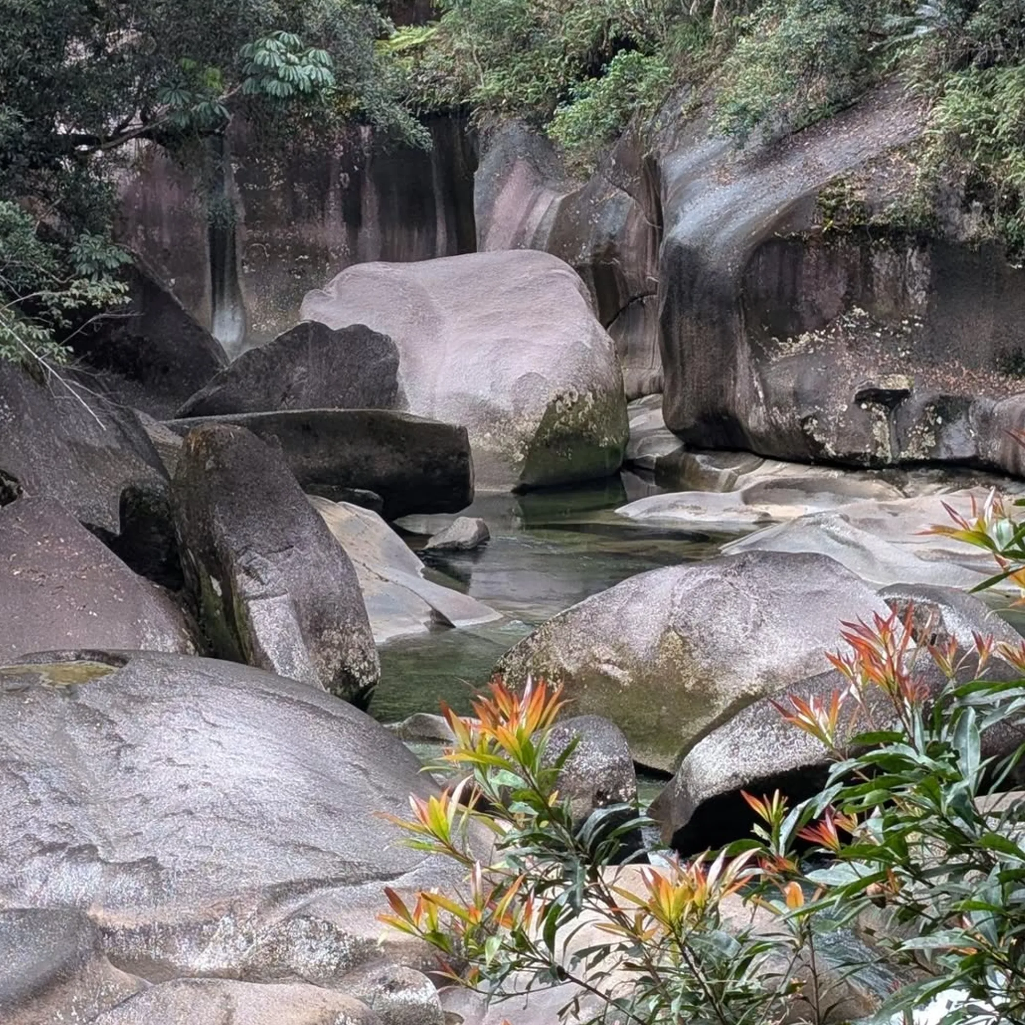 freshwater gorge swimming hole