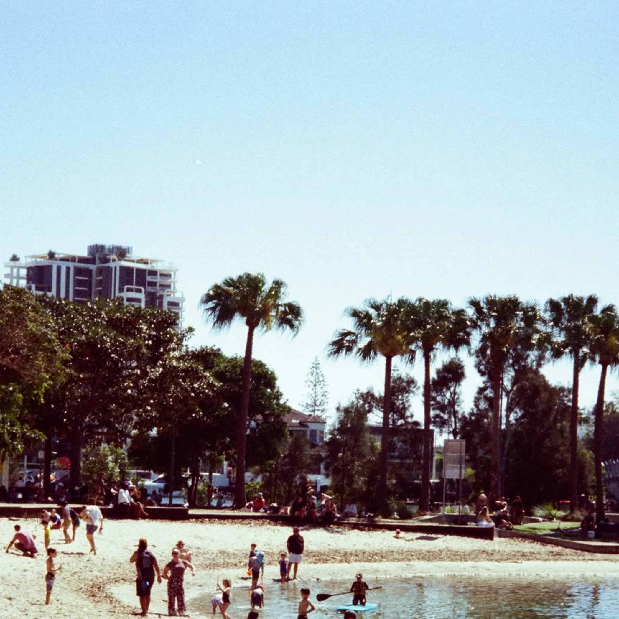 people on palm-lined beach waterfront
