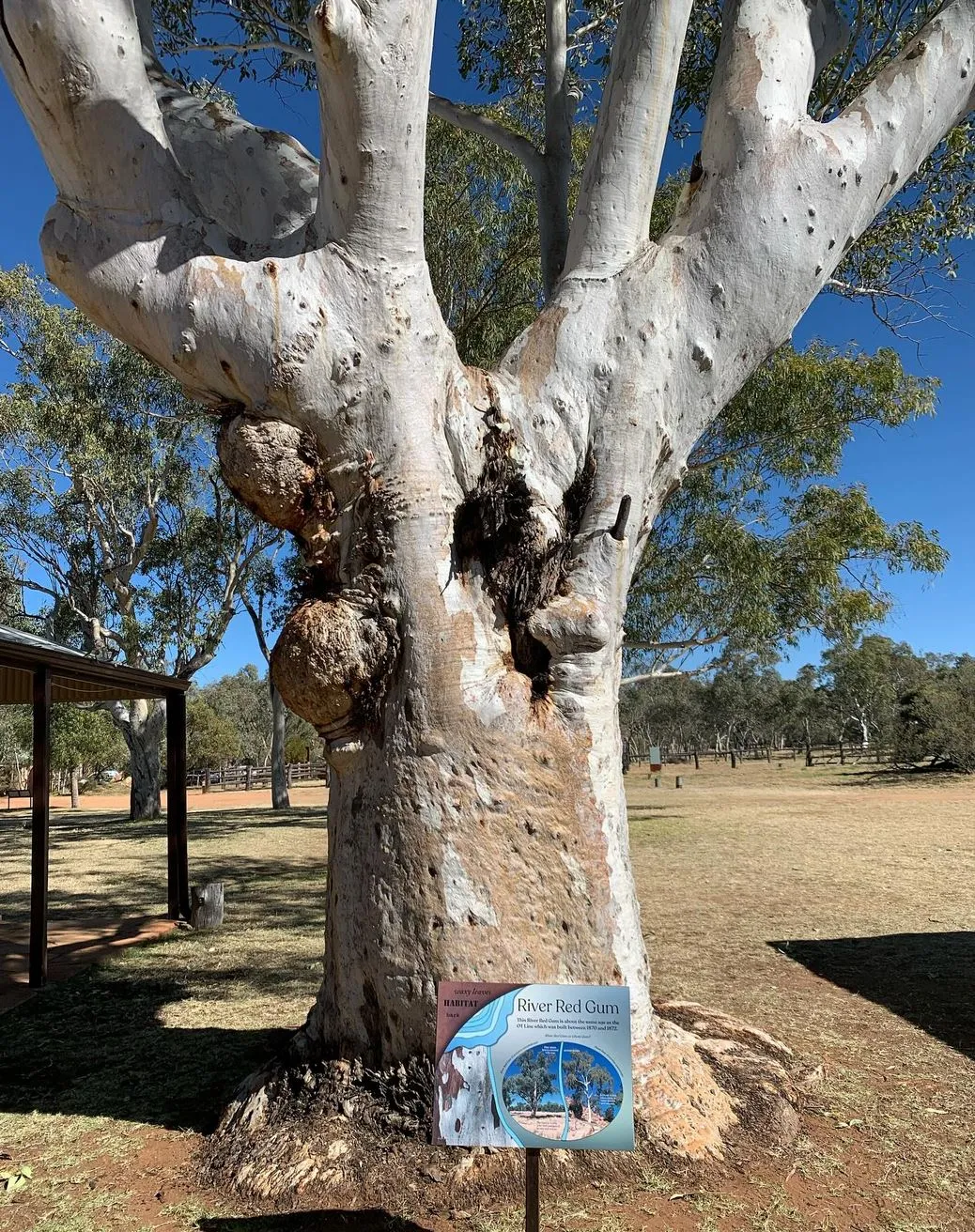 Alice Springs Telegraph Station