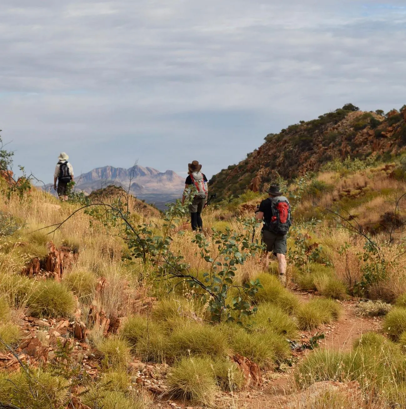 Is the Larapinta Trail Difficult, A Complete Hiking Guide